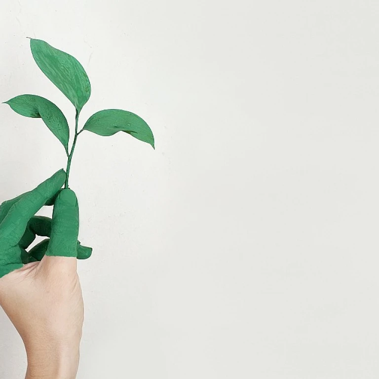 Crafting Effective Procurement Organization Structures