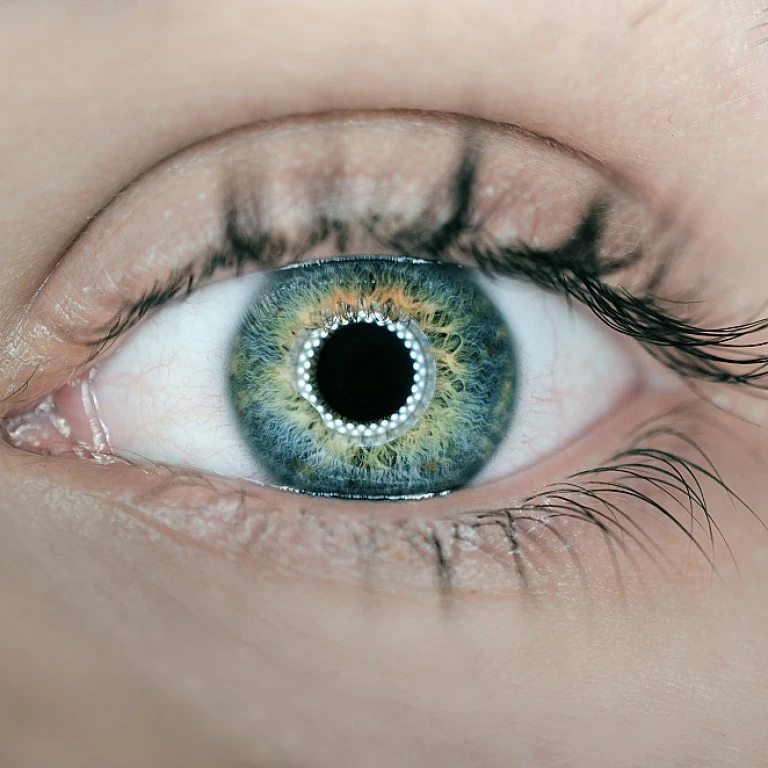 Steps to Becoming a Notary in South Carolina