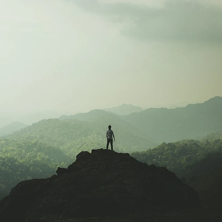 Understanding HR Sourcing: A Comprehensive Guide