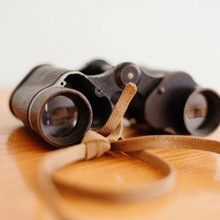 Exploring the Future of Background Checks with Sixgill Solutions